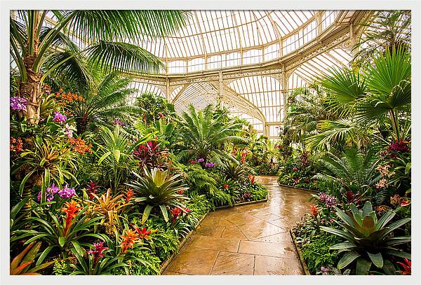 Victorian Conservatory Garden