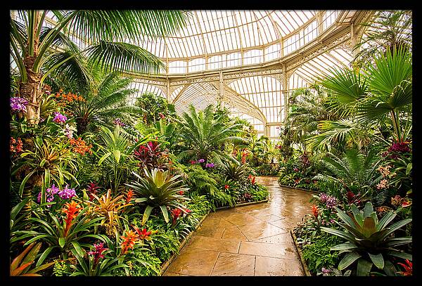 Victorian Conservatory Garden