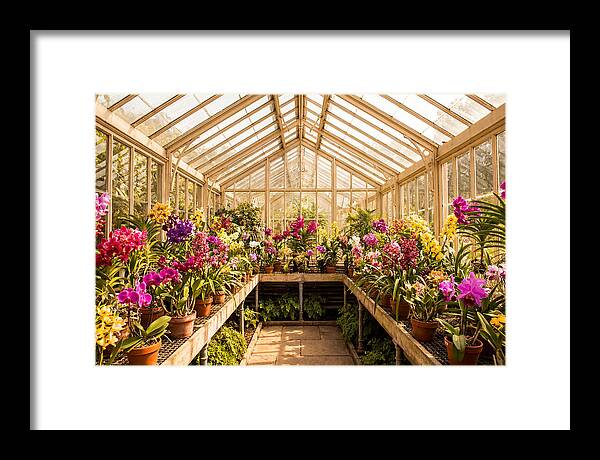 Victorian Glass Greenhouse Oasis
