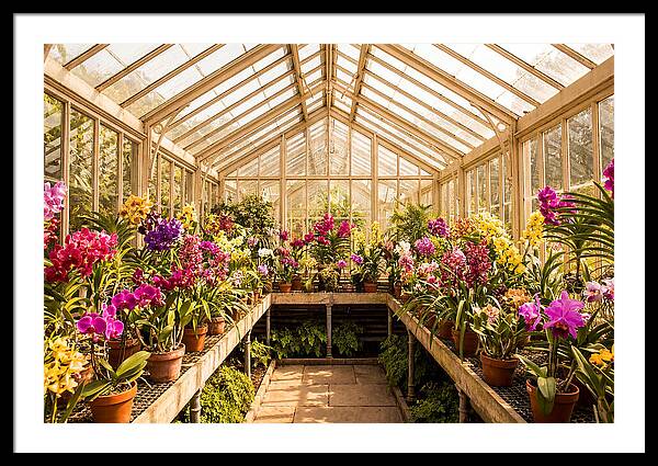 Victorian Glass Greenhouse Oasis