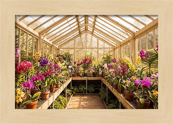 Victorian Glass Greenhouse Oasis