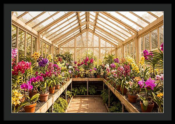 Victorian Glass Greenhouse Oasis