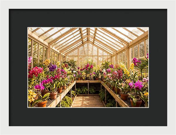 Victorian Glass Greenhouse Oasis