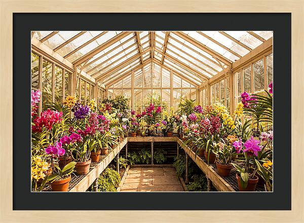 Victorian Glass Greenhouse Oasis