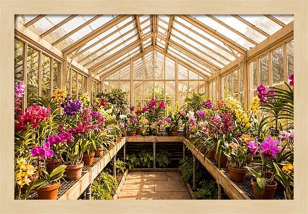 Victorian Glass Greenhouse Oasis