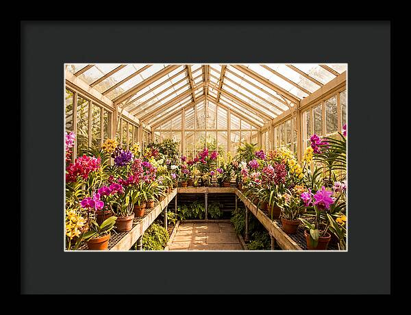 Victorian Glass Greenhouse Oasis