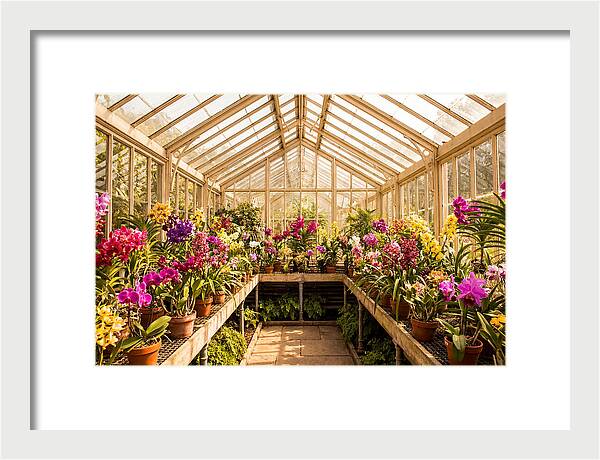 Victorian Glass Greenhouse Oasis