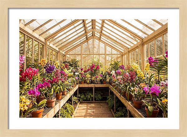 Victorian Glass Greenhouse Oasis