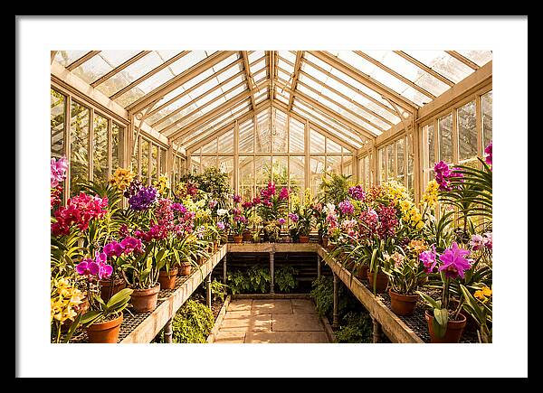 Victorian Glass Greenhouse Oasis
