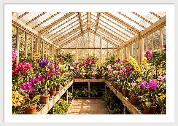 Victorian Glass Greenhouse Oasis