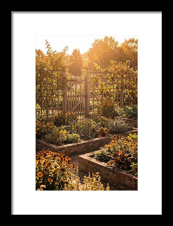 Victorian Kitchen Garden Serenity