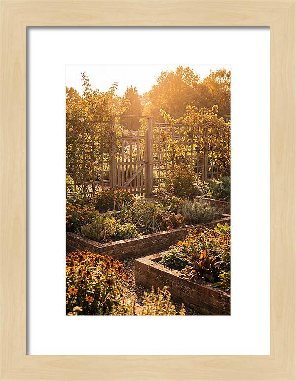 Victorian Kitchen Garden Serenity
