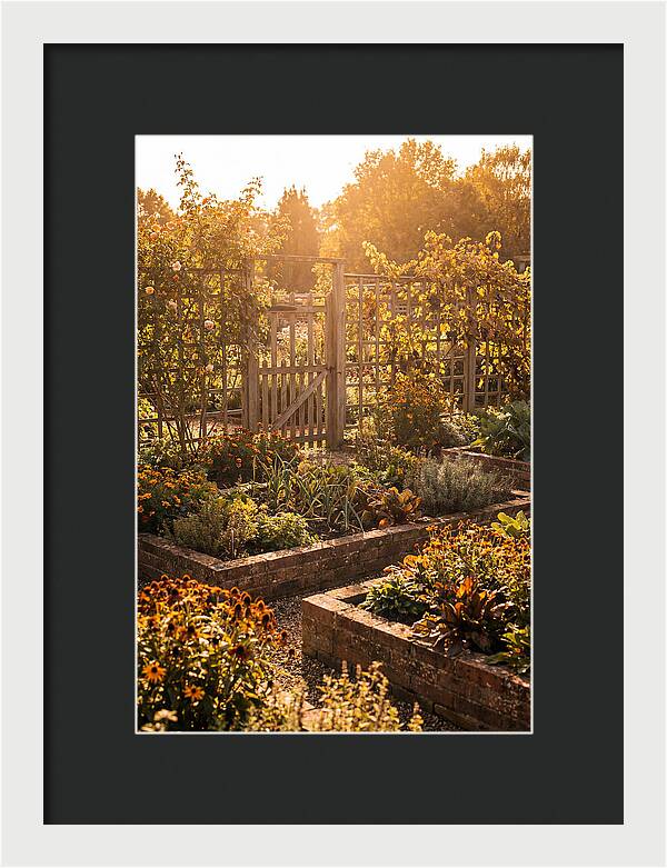 Victorian Kitchen Garden Serenity