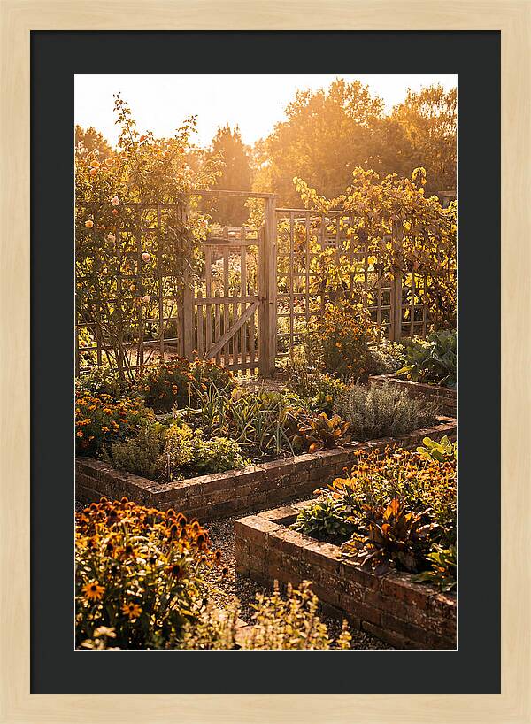 Victorian Kitchen Garden Serenity