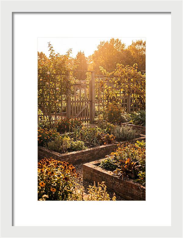 Victorian Kitchen Garden Serenity