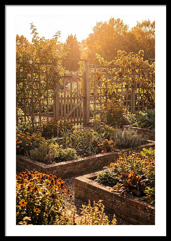 Victorian Kitchen Garden Serenity