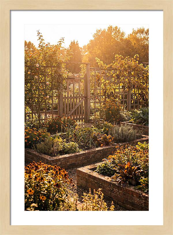 Victorian Kitchen Garden Serenity