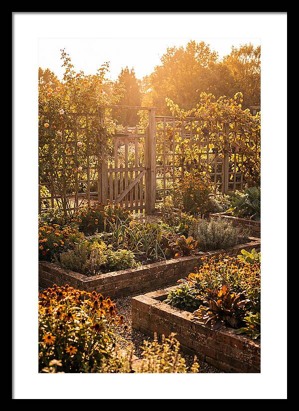 Victorian Kitchen Garden Serenity