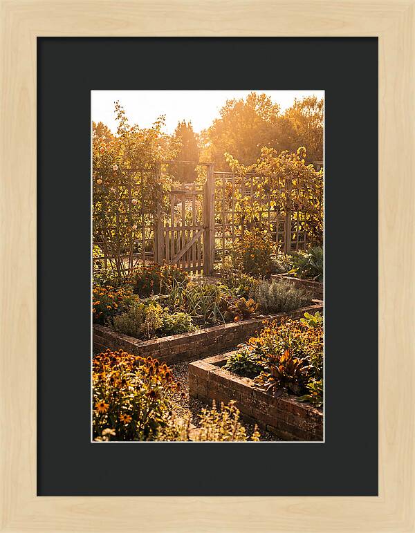 Victorian Kitchen Garden Serenity