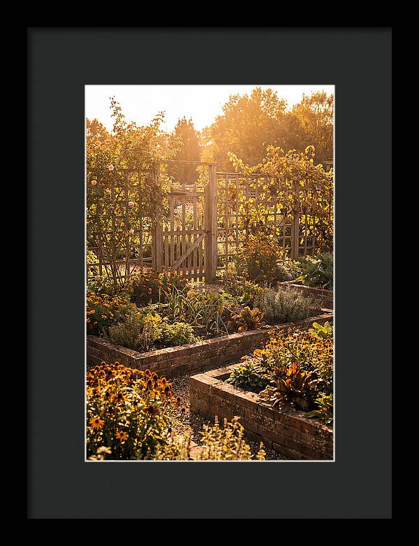 Victorian Kitchen Garden Serenity
