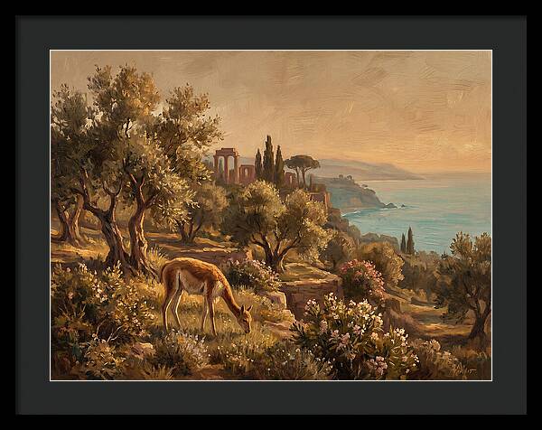 Vicu In A Mediterranean Landscape