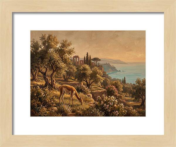 Vicu In A Mediterranean Landscape