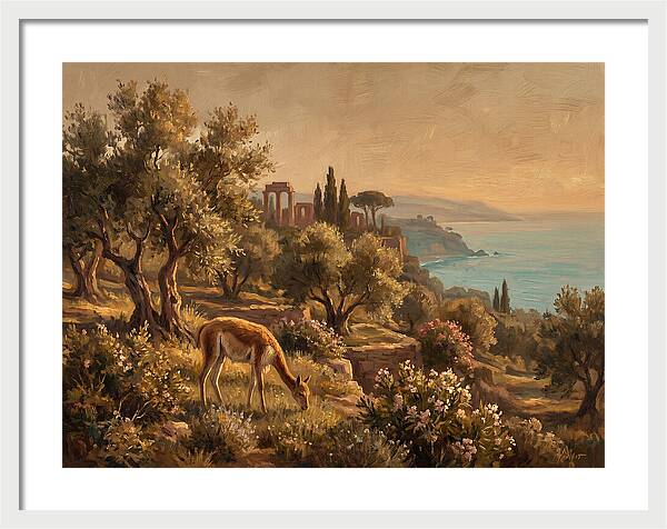 Vicu In A Mediterranean Landscape