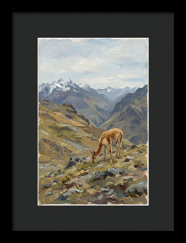 Vicua Grazing In The Andes