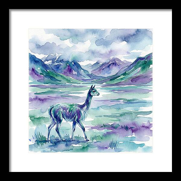 Vicua In Serene Landscape
