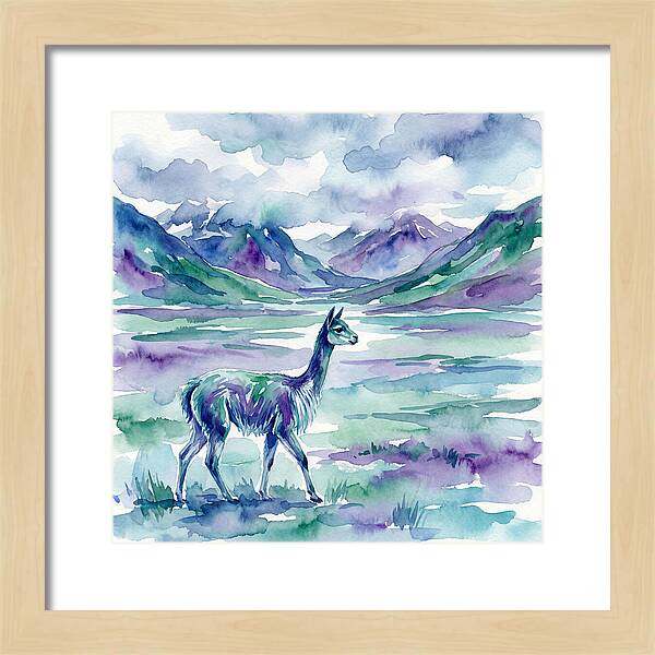 Vicua In Serene Landscape