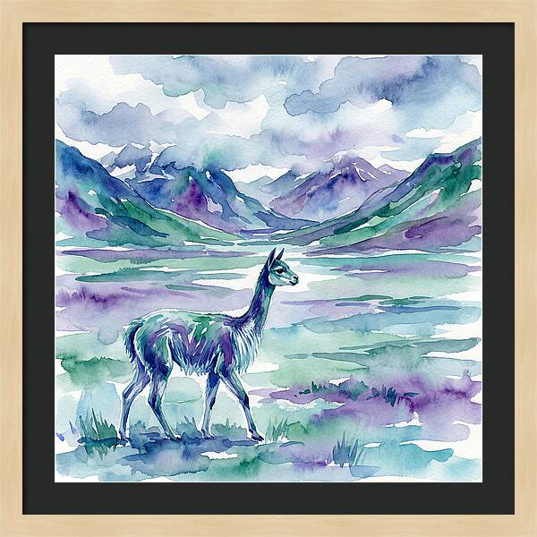 Vicua In Serene Landscape