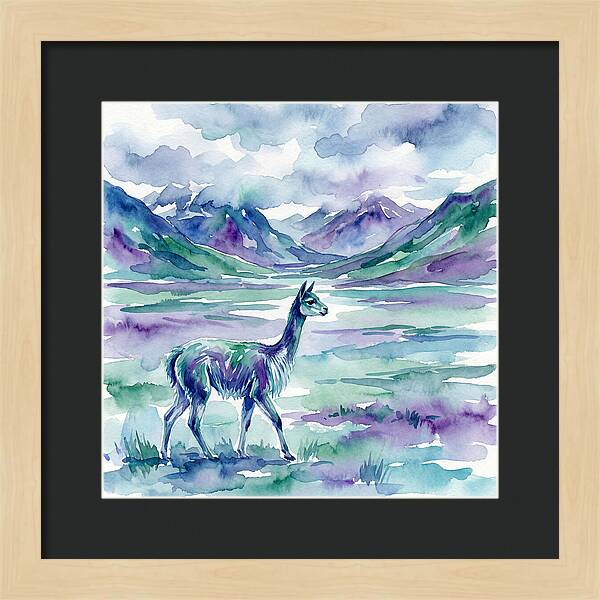 Vicua In Serene Landscape