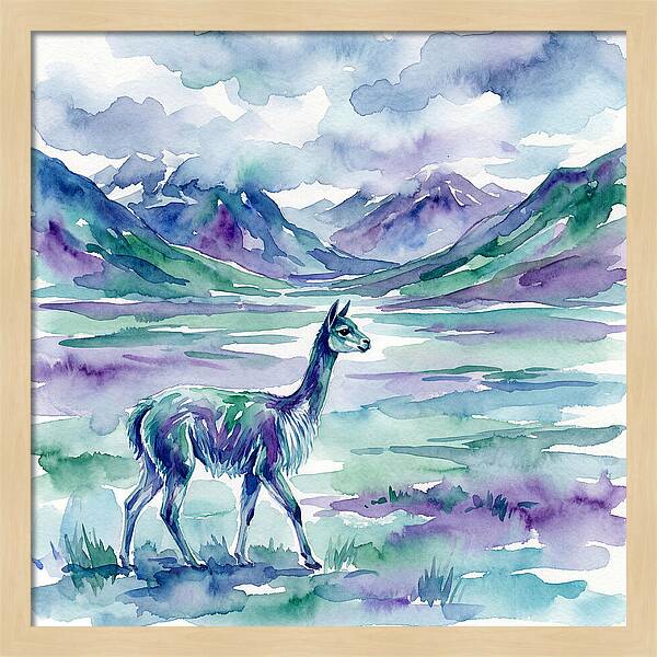 Vicua In Serene Landscape