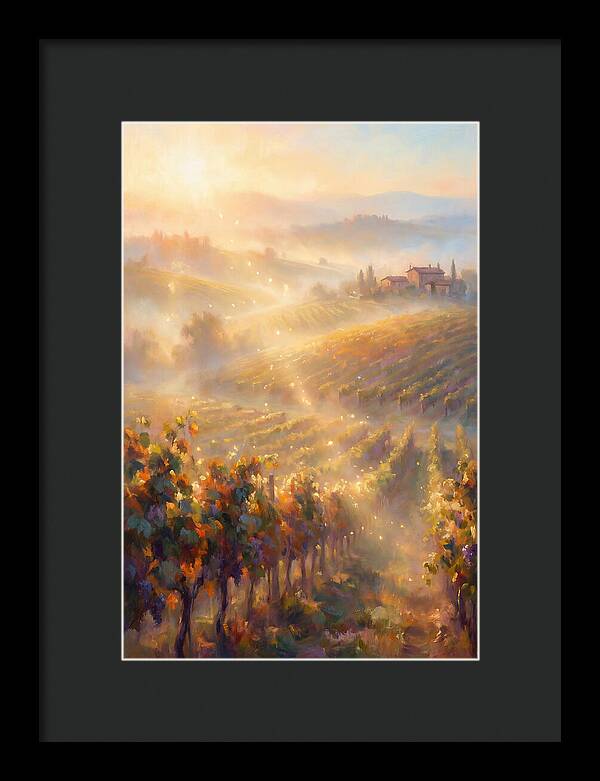 Vineyard Landscape