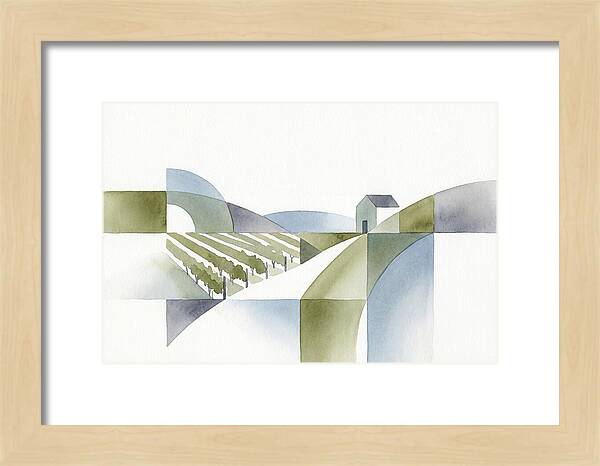 Vineyard Landscape Harmony