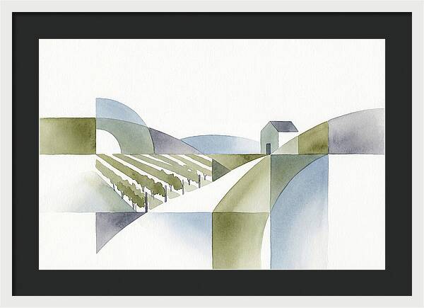 Vineyard Landscape Harmony