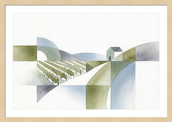 Vineyard Landscape Harmony
