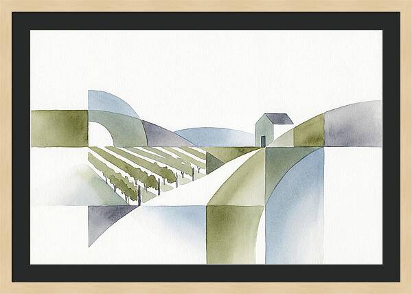 Vineyard Landscape Harmony
