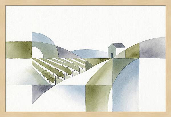 Vineyard Landscape Harmony
