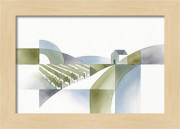 Vineyard Landscape Harmony