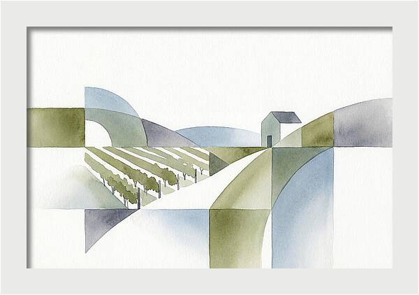 Vineyard Landscape Harmony