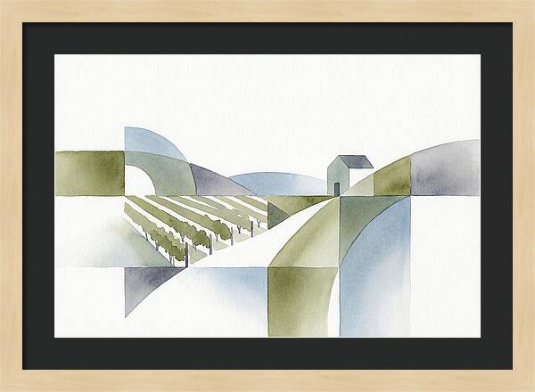 Vineyard Landscape Harmony