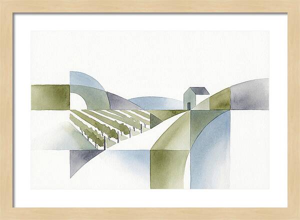 Vineyard Landscape Harmony