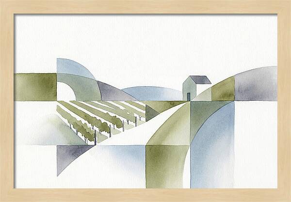 Vineyard Landscape Harmony