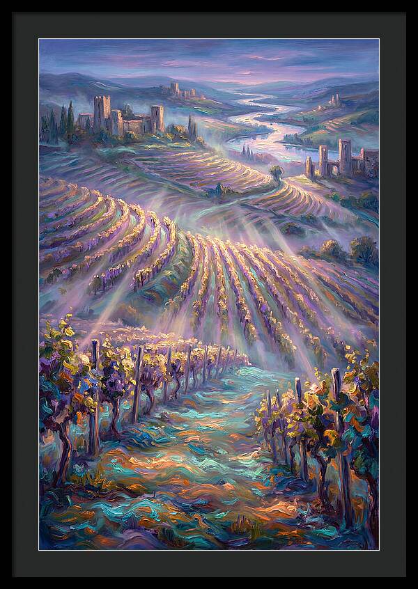 Vineyard Serenity