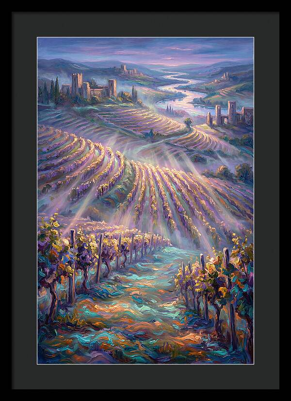 Vineyard Serenity