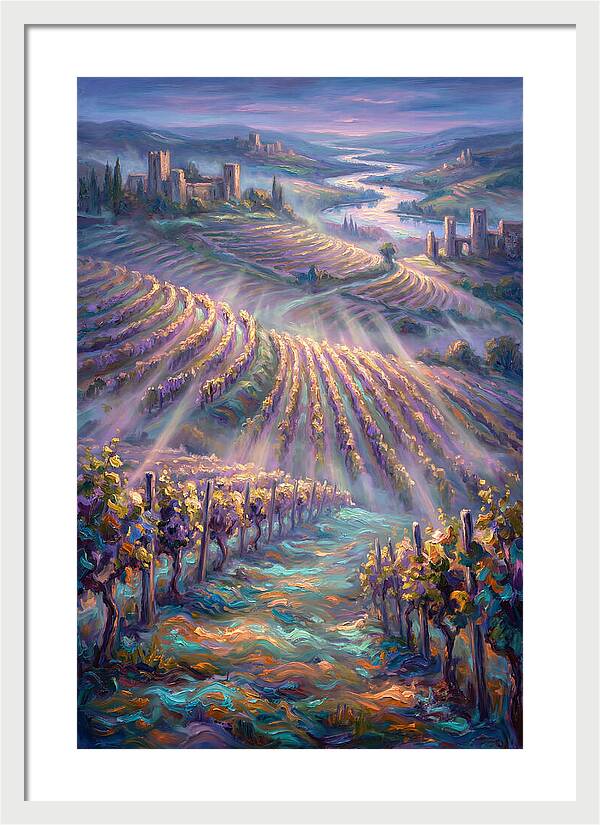 Vineyard Serenity