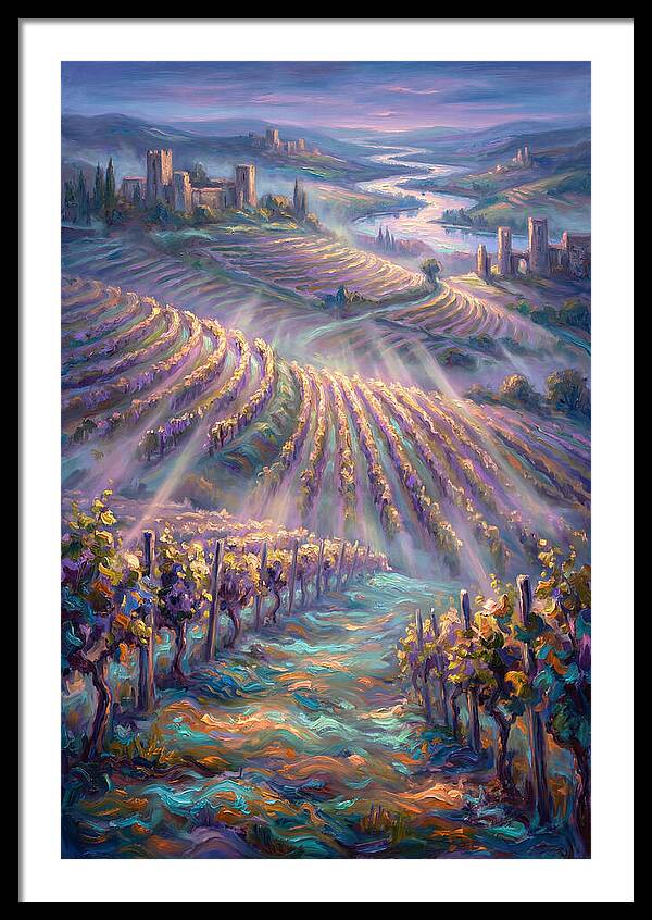Vineyard Serenity