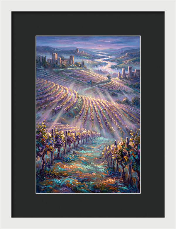Vineyard Serenity