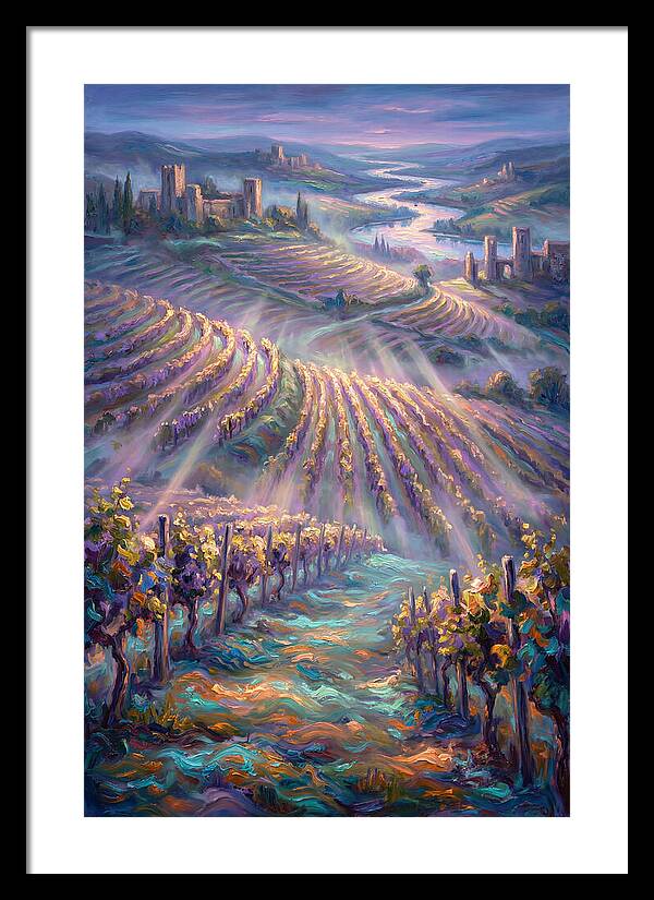 Vineyard Serenity